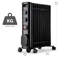 Naomi 2500 BTU Electric Radiator Space Heater