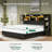 Bed Frame With 4 Storage Drawers, Built-In LED Lights & USB Charging Station, Side Bookshelf Storage-1660902830-1660902824