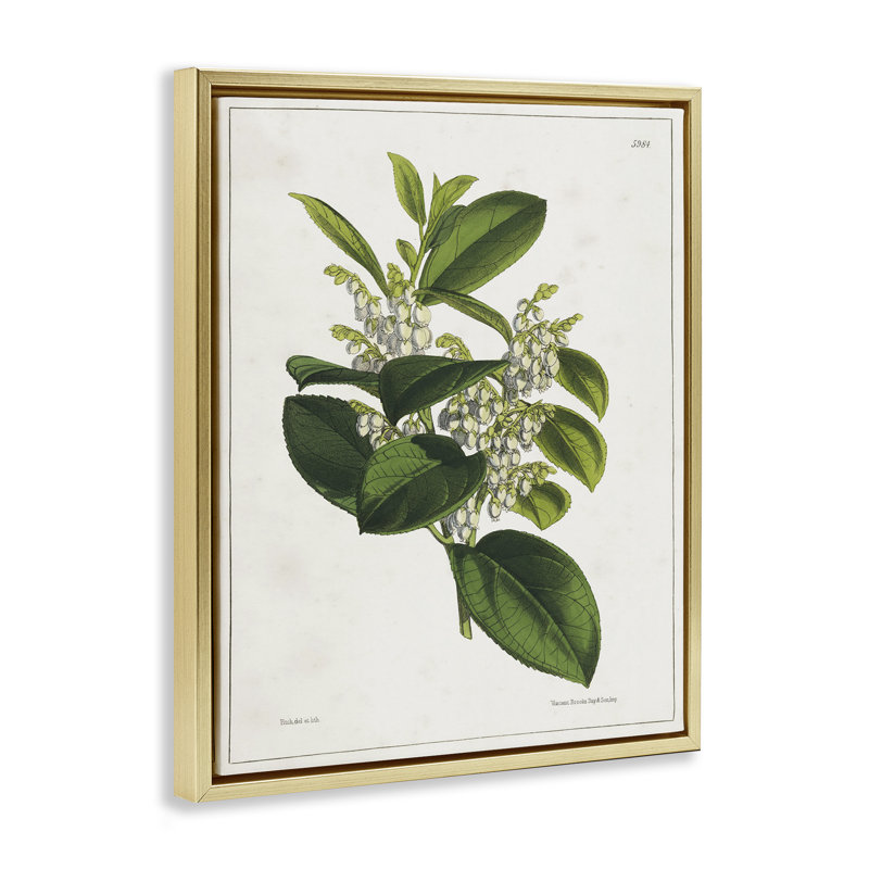 «Forest Nature Botanical Floater», art mural sur toile par Tina Higgins Designs, Inc., Cadre flottant métallique doré
