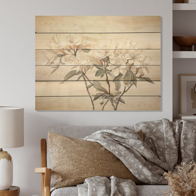 Subdued Rhododendron Simplicity - Rhododendron Wood Art On Natural Pine Wood