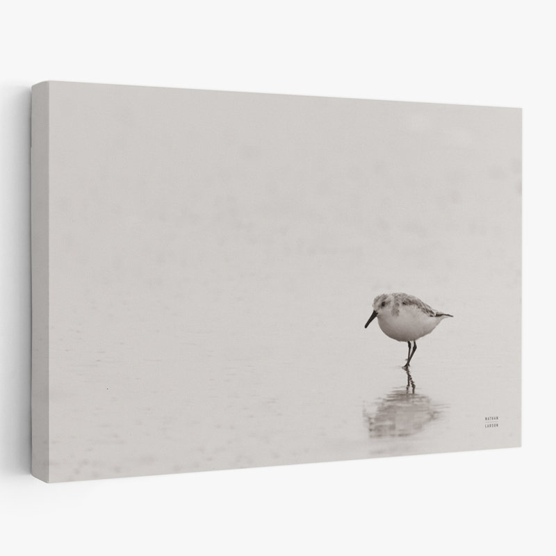 Bord de mer et plage de l'île Tybee Sanderling, H 24 po x l 16 po