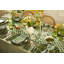 Emerald Check Appetizer Plates