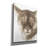 Malcontent' by Barbara Keith, Canvas Wall Art-581972046