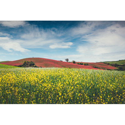 «Tuscany Field» par Borchee