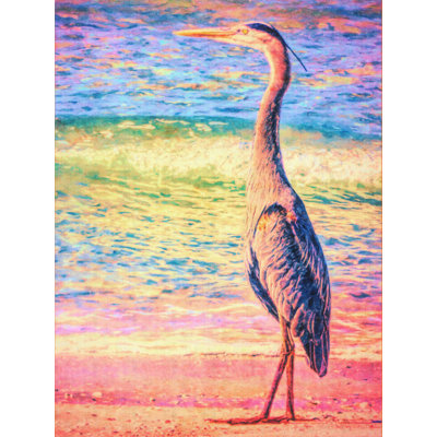 No Egrets by Grotto Studios