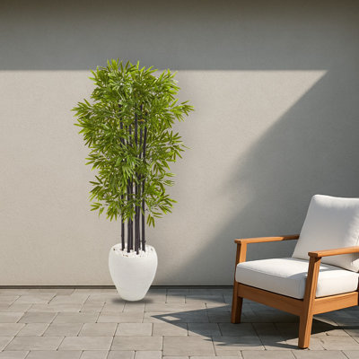 Bamboo Tree in White Planter UV Resistant