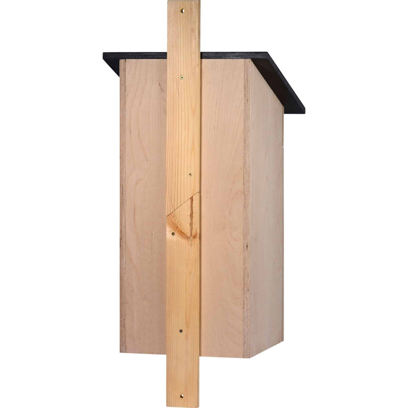 Mikes Mounted Bird House