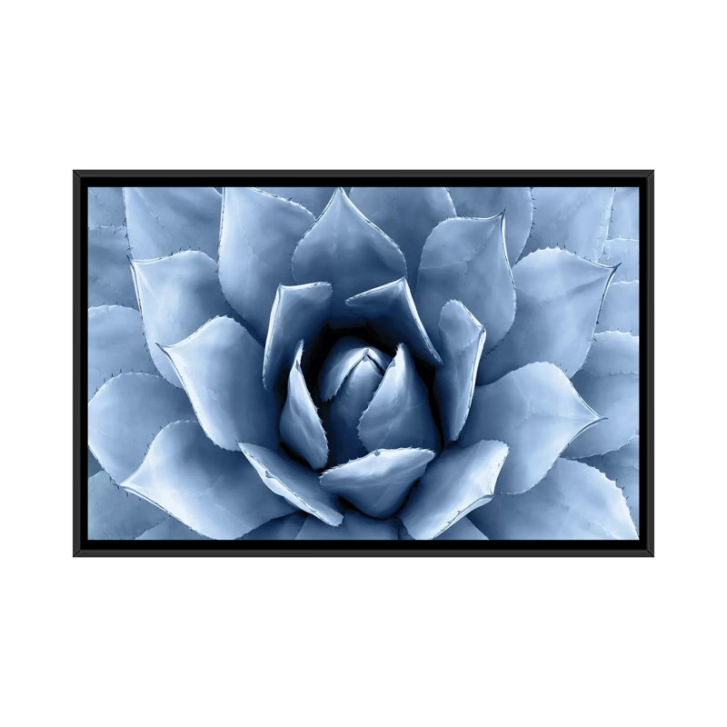«Succulent II», impression sur toile, H 18 po x l 26 po x P 1,5 po, Toile avec cadre noir