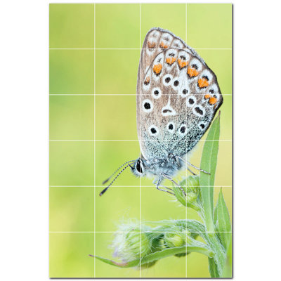 4.25'' x 4.25'' Satin Ceramic Decorative Mural