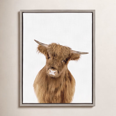 Baby Highland Calf Print by Amy Peterson