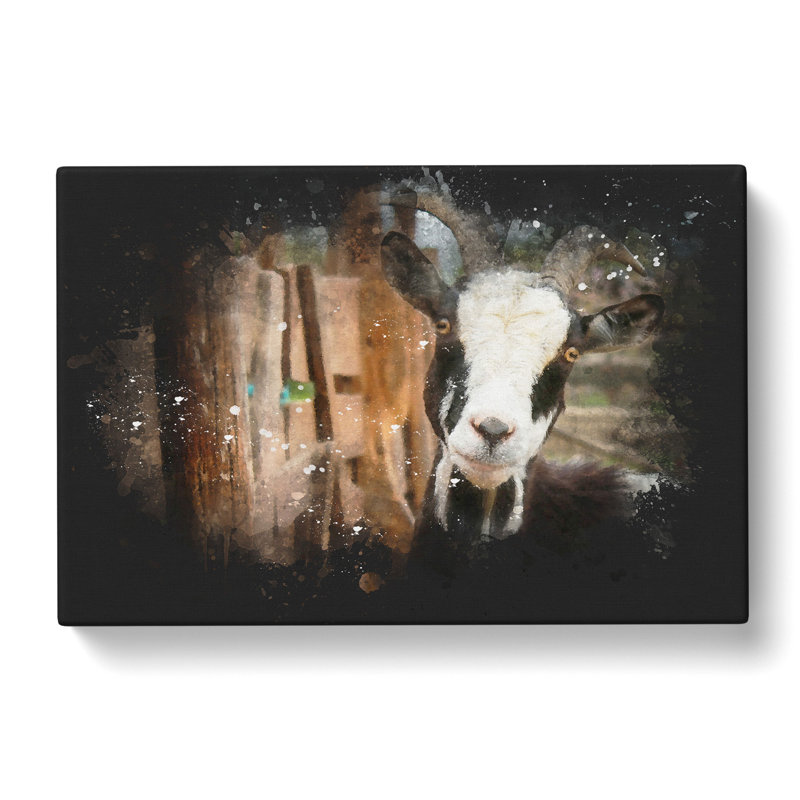 Goat Vol.1 - Wrapped Canvas, 35cm H x 50cm W x 3cm D