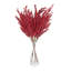 Buisson de Muriel