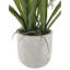 22.5" Artificial White Orchid in Vanda Pot