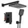 Rainfall 2-Handle 2-Spray 12 In. Square High Pressure Shower Faucet In Matte Black (Valve Included)