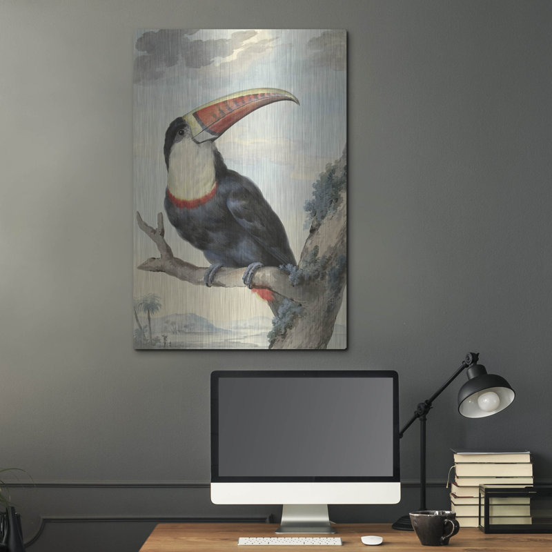 Toucan à bec rouge, v. «1748» par Aert Schouman, art mural en métal, H 36 po x l 24 po