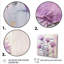 Beige marguerite beauté - marguerites, art mural-428642875-428642879