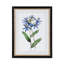 Summer Flower Framed Prints