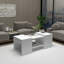 Frame Coffee Table with Storage-88711922
