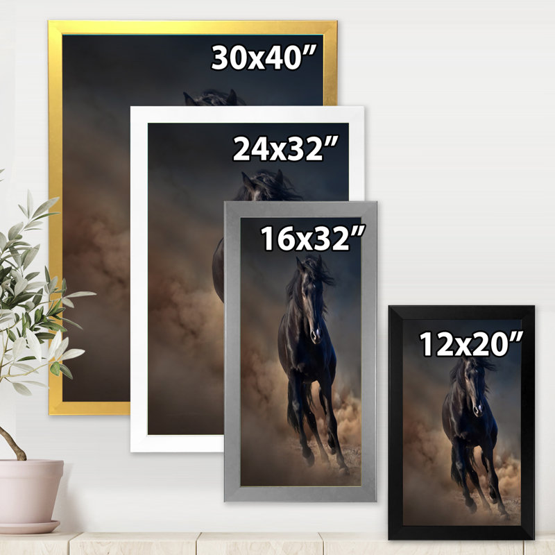 Portrait d'un cheval étalon Purius I - impression maison de campagne, H 20 po x l 12 po x P 1po, Cadre blanc