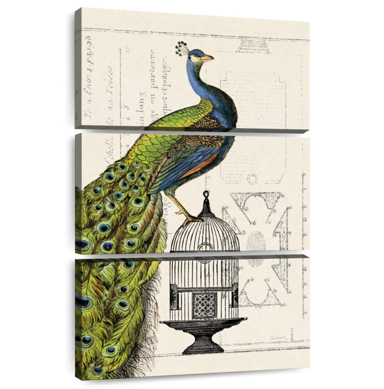 Brampt Peacock Birdcage I