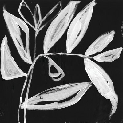 Feuilles blanches excentriques II