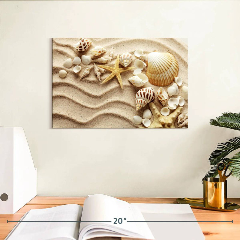 Aletra, coquillages sur les vagues de sable, H 8 po x l 12 po