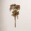 Berry Floral Stems