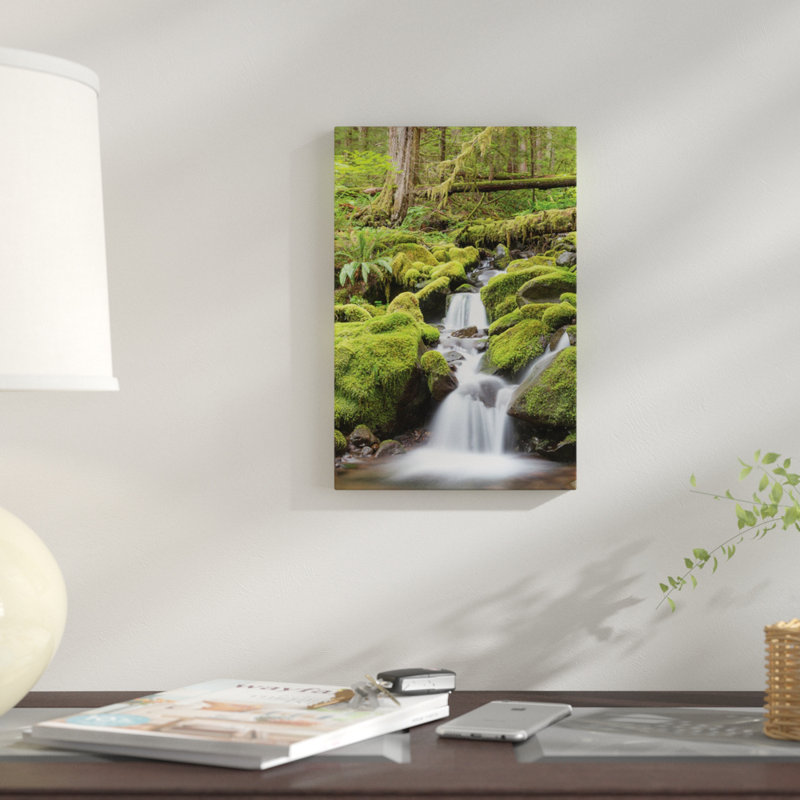 « cascade stream, sol duc river valley, olympique national park, washington, usa », reproduction de photo sur toile