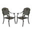 Toros Premium All-Weather Wicker Outdoor Dining Armchair-88073925