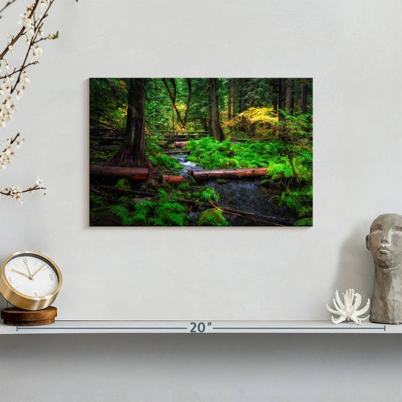 Ruisseau Alvord Willamette National Forest, H 8 po x l 12 po
