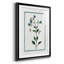 Shabby Elegance Botanical II, reproduction encadrée de qualité supérieure - prête à être accrochée-1427717059-1427717061