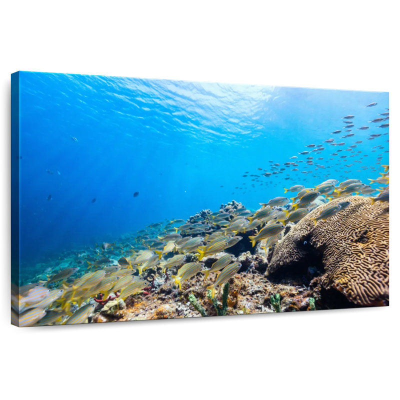 Aletra St. Lucia Ocean Life, 34" H x 51" W