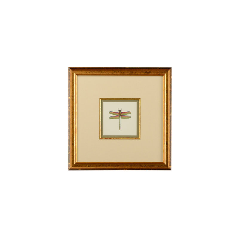 Miniature Dragonfly III Print