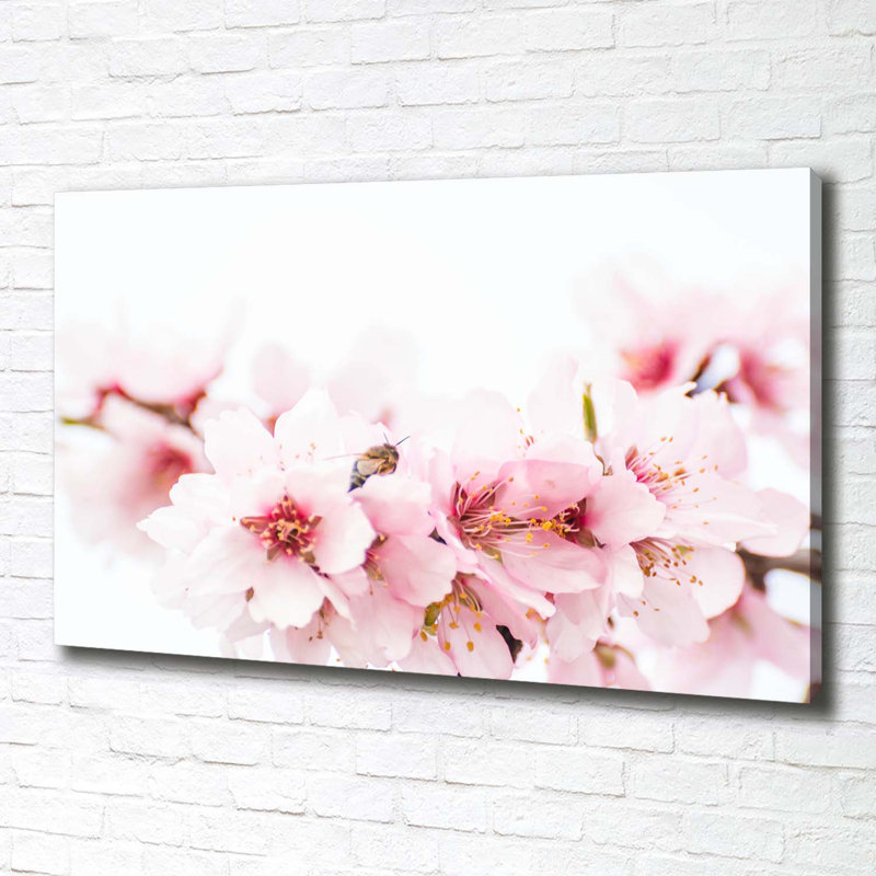 Cherry Blossoms - Wrapped Canvas Print