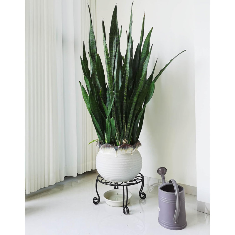 Ensemble de 2 supports pour plante en fer robuste, 11,8 po de diamètre, 6 po de hauteur