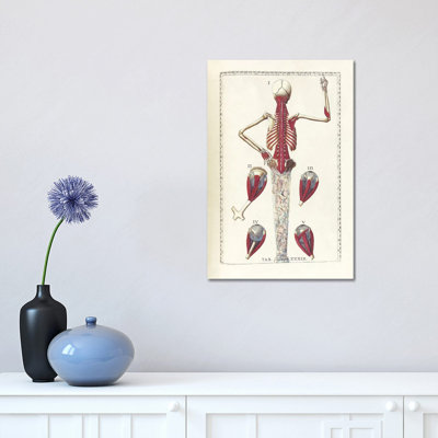 " The Science Of Human Anatomy IV " by National Library Of Medicine
