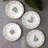 Noritake Holly & Berry Gold Set Of 4 Assorted Appetizer Plates, 6-1/4"