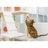 Classic 77'' H Cat Tree