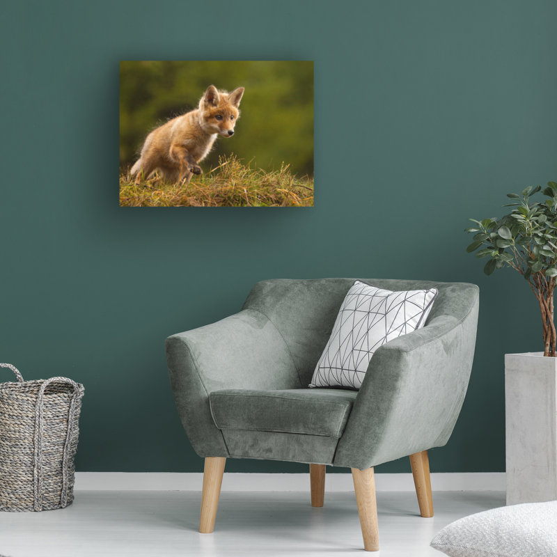 Bolog Robert Adamec Fox Canvas Art, 14" H x 19" W