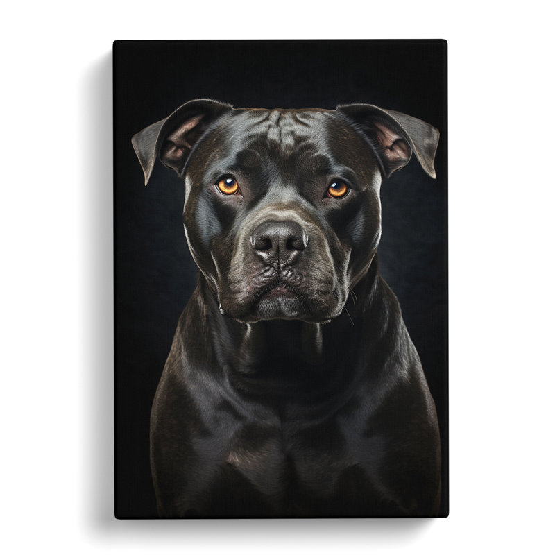 Staffordshire Bull Terrier Tachisme - Wrapped Canvas, 50cm H x 35cm W x 3cm D