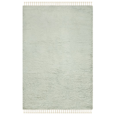 Janik Wool Hand Woven Area Rug