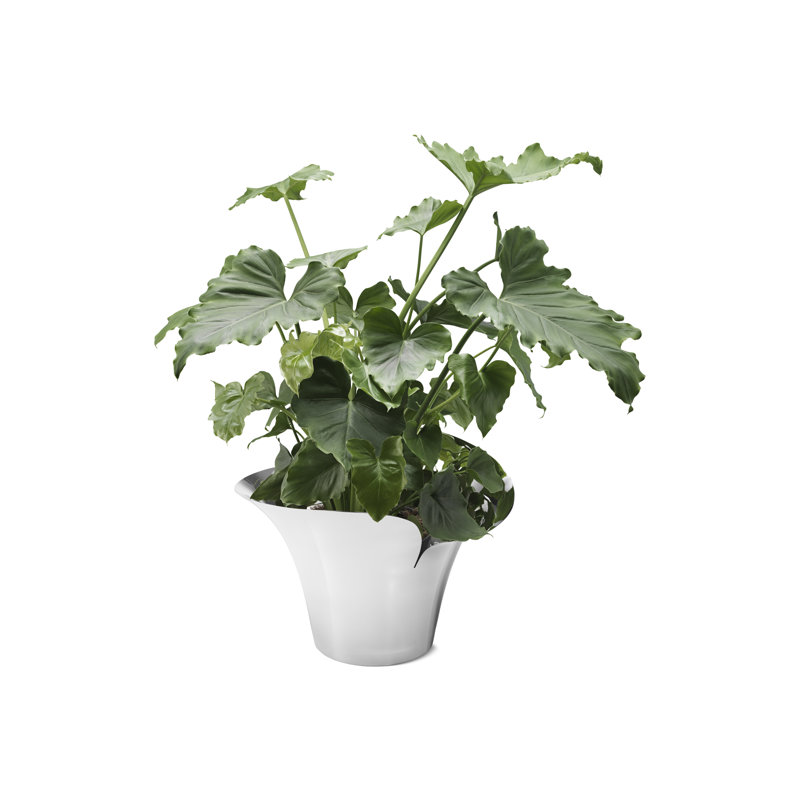 Bloom Botanica Stainless Steel Pot Planter, 4.72" H x 4.92" W x 2.28" D