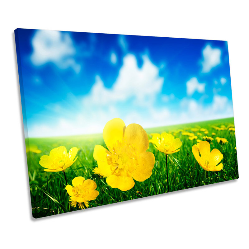 Daisy Flower Floral Field - Wrapped Canvas Art Prints, 30.5cm H x 45.7cm W
