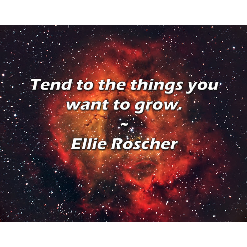 Ellie Roscher Citation: Tendance aux choses que vous voulez faire pousser., H 15 po x l 18 po
