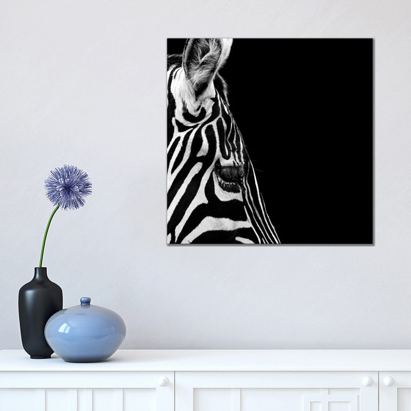Zebra In Black And White III by Lukas Holas - Wrapped Canvas Print, 45.72cm H x 45.72cm W x 1.905cm D