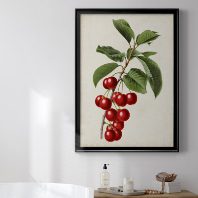 " Antique Fruit II "