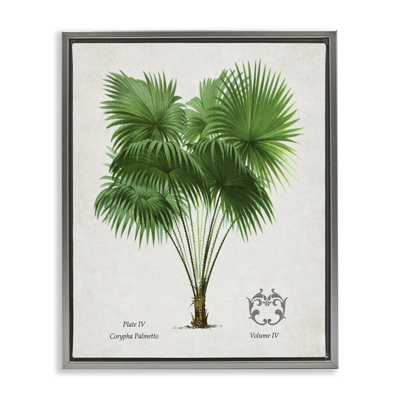 Cadre flottant rétro avec plante de palmier, design par Val Rhodes, Cadre flottant gris lustré, H 21 po x l 17 po