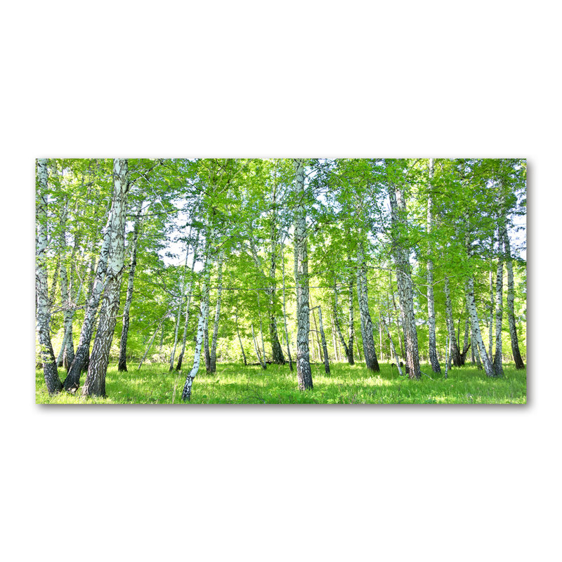 Birches - No Frame Print on Canvas