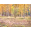 Autumn Field And Tree Grove Print by Bruce Heinemann-71199641-92903754-132510851