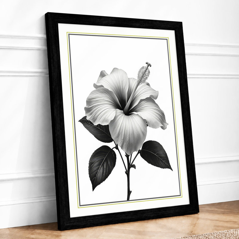 Hibiscus in Bloom Botanical - Framed Print, Black, A4 - 29.7 x 21.0 cm